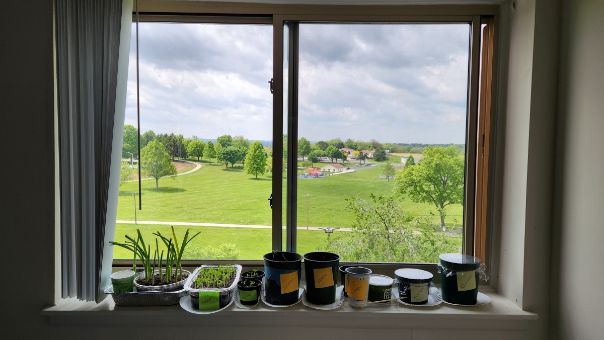 Window Garden